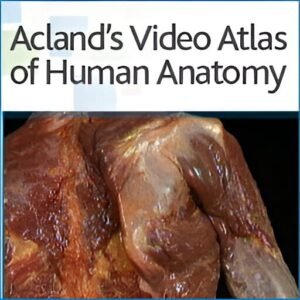 Acland Video Atlas anatomy