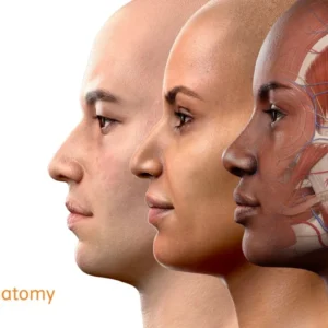 Complete Anatomy 3D subscription