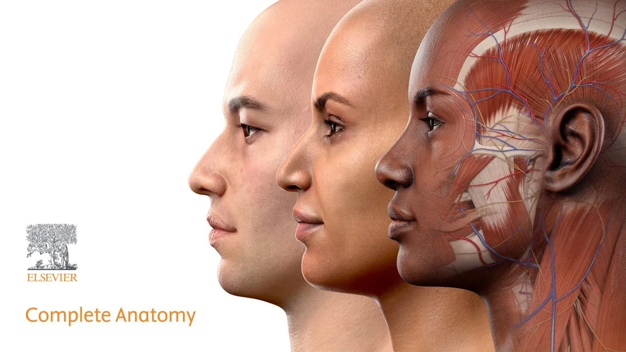 Complete Anatomy 3D subscription